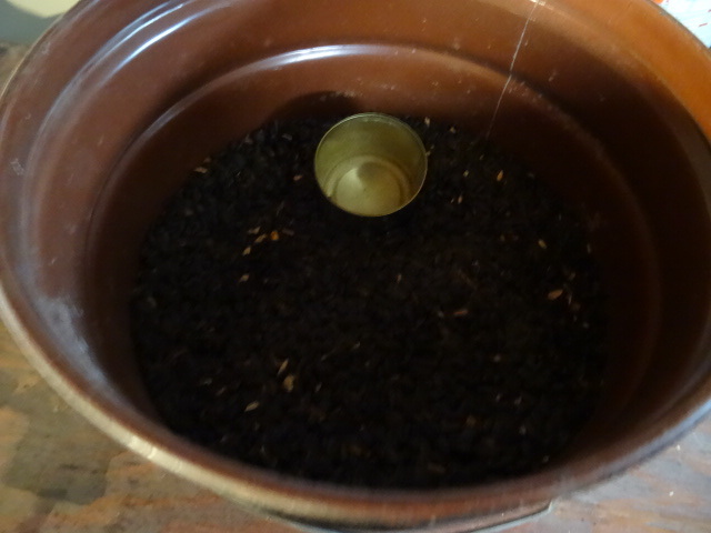 lot 205 image: 4 Gal. Bucket Sunflower Seeds