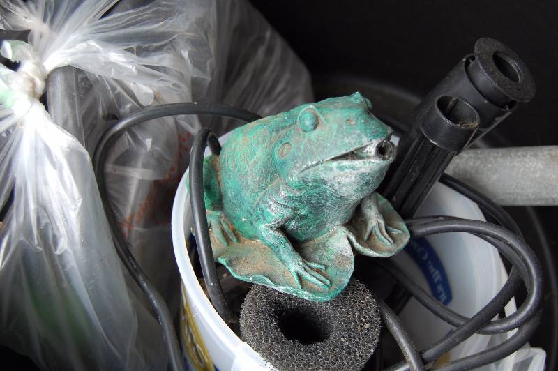 lot 281 image: Frog Pond