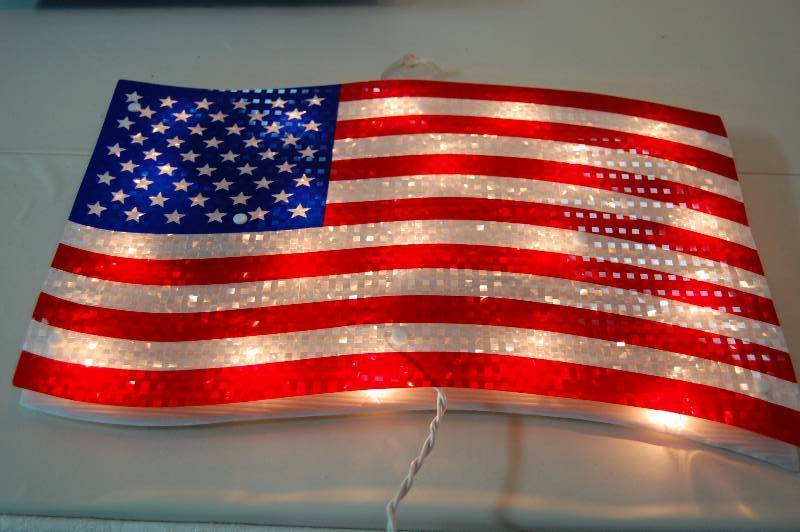 lot 181 image: Light Up American Flag