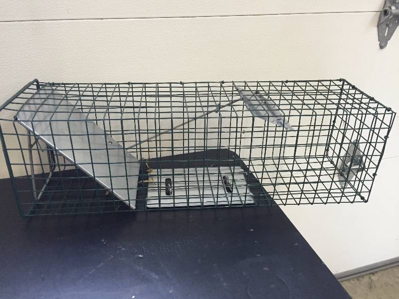 lot 217 image: Live Trap
