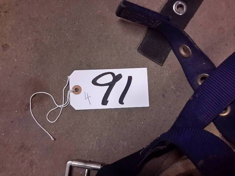 lot 91 image: 5, Safety Harnesses