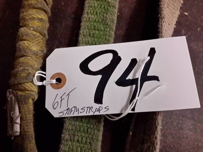 lot 94 image: 1, Y Shaped Safety Harness  3 Saftey Straps.. All 6 ft