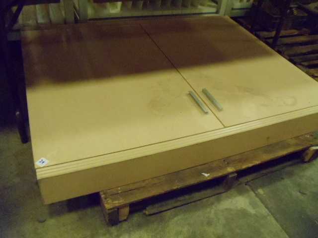 lot 29 image: 54 x 43 wall hanging presentation cabinet