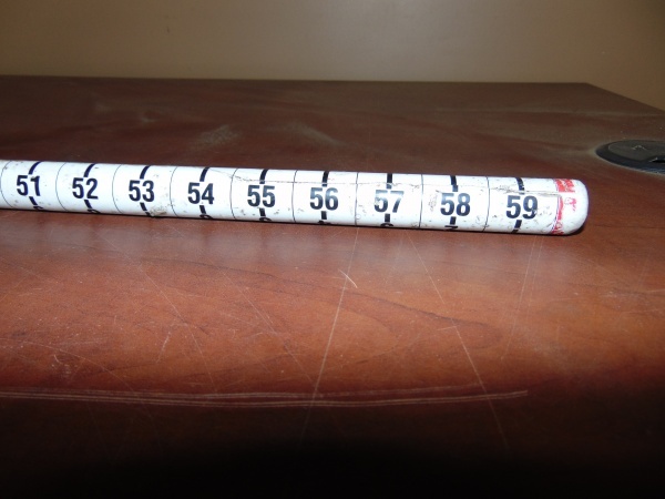Large Fish Measuring Stick