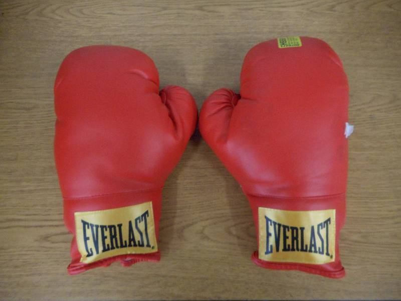 PAIR OF EVERLAST BOXING GLOVES