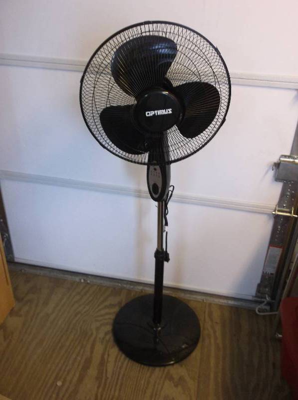 Fan