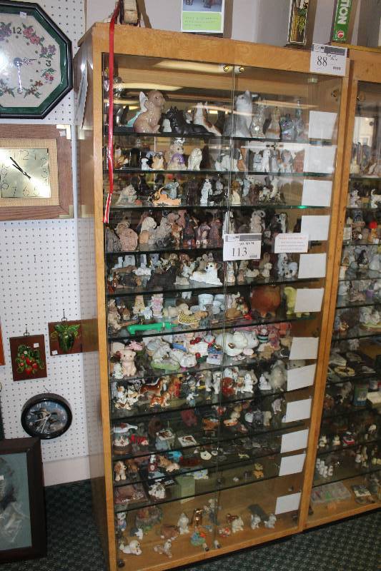 Display Case