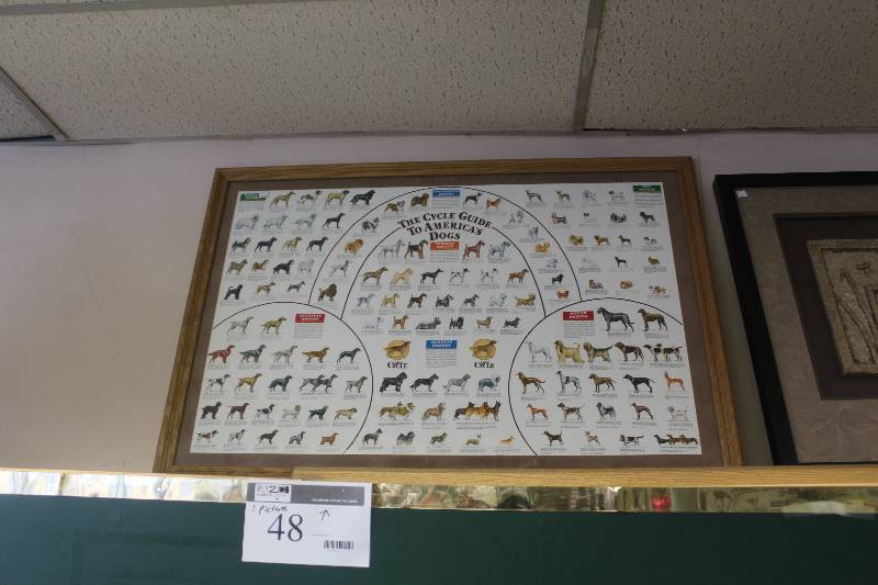 Framed Wall Art