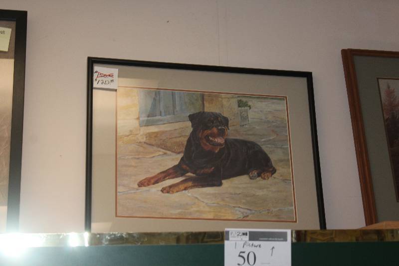 Framed Wall Art