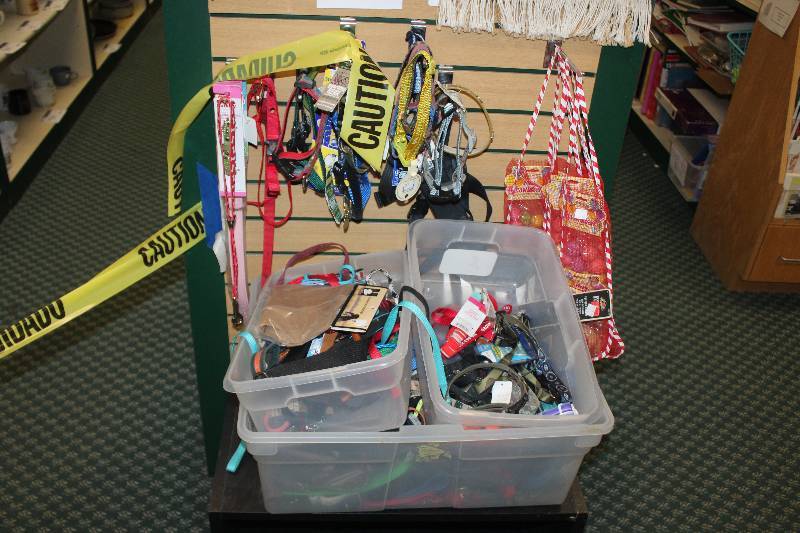 End of Shelf Contents of Pet Supplies