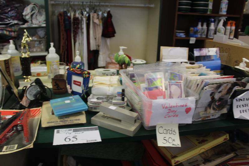 Top Shelf Lot of Home Decorations, Pet Supplies