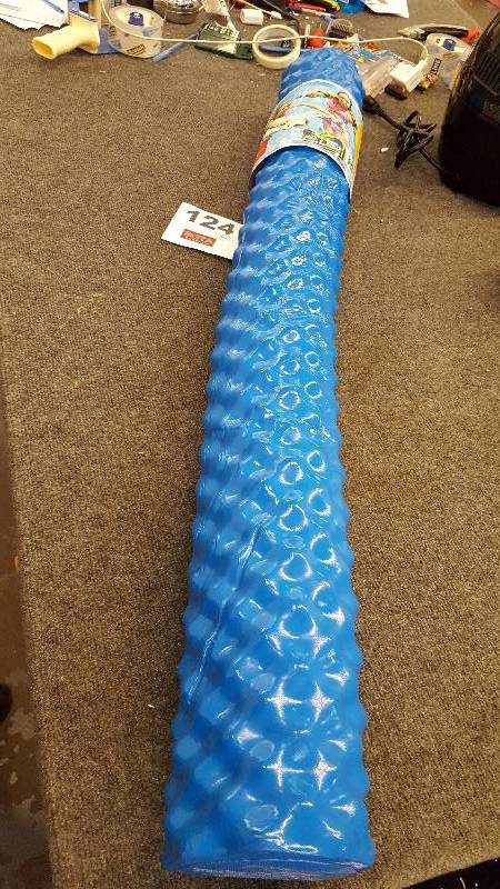 lot 124 image: Delux Pool Noodle  Blue