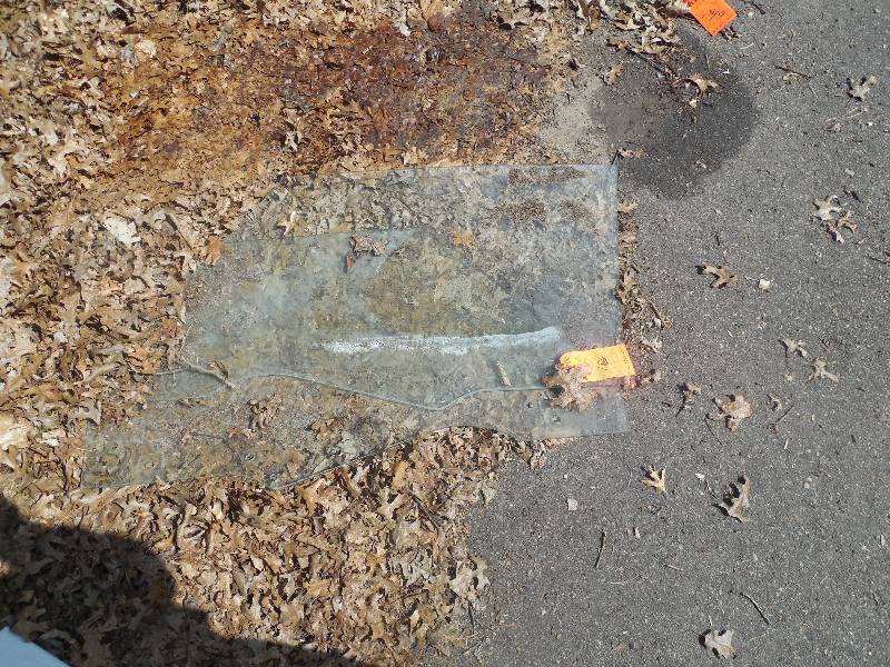 lot 196 image: 1974 Nova Door Glass