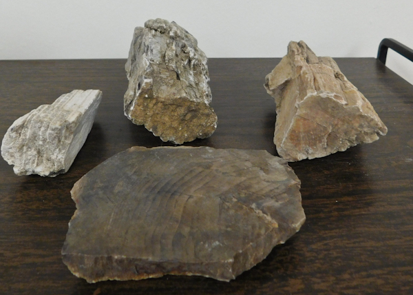 lot 148 image: petrified wood specimens