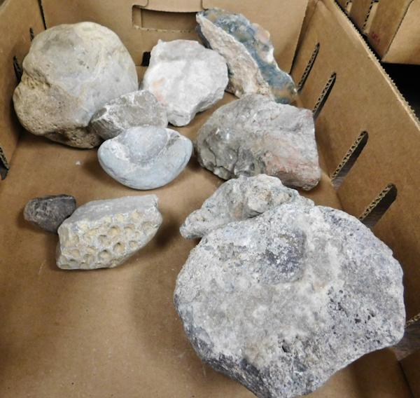 lot 157 image: 8 lbs misc stone specimens