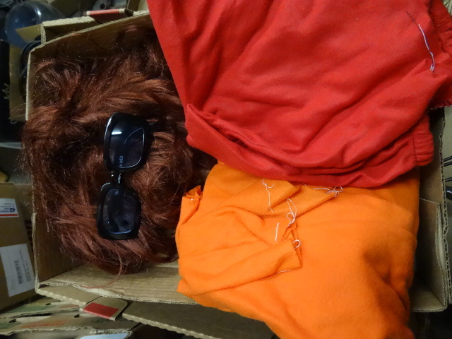 Costume
