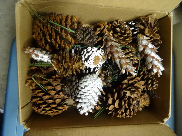 Pinecones