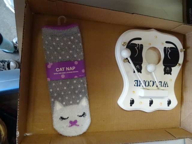 Cat Items