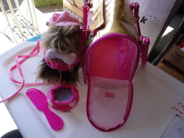 Yorkie Dog