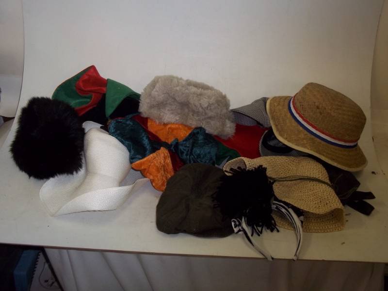 lot 423 image: Hats Photo props  Clown Accessories