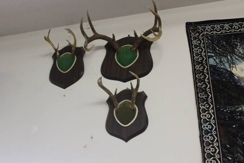 lot 88 image: Wall Lot of Wall Decorations Including Deer Antlers, Framed Art