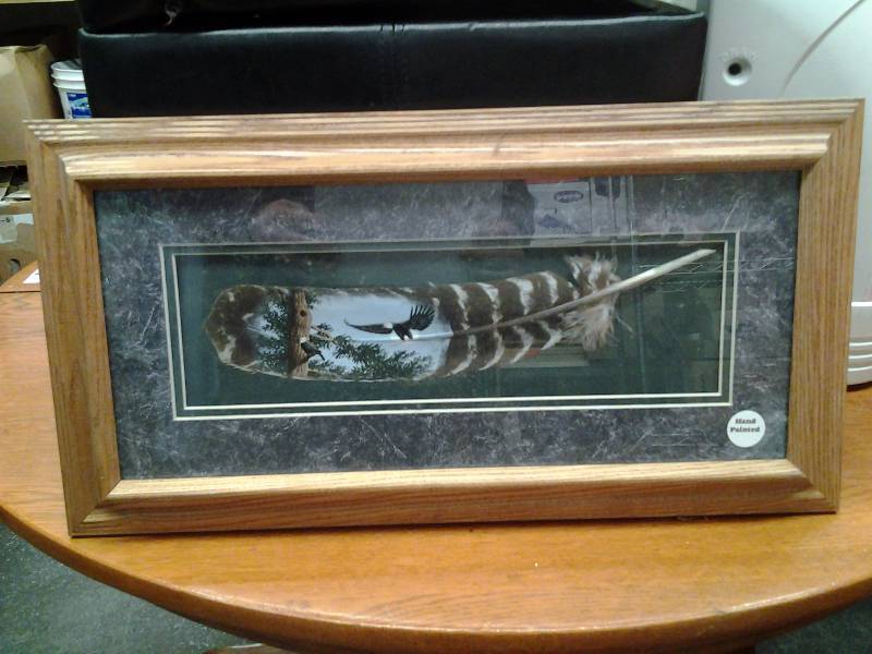 lot 32 image: Framed Hand Painted Feather By Domiko 11x21