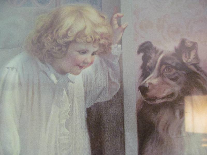 Picture Of Young Girl & Her Dog