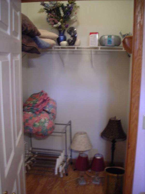 lot 74 image: Contents In Closet Pillows, Lamps, Organizers