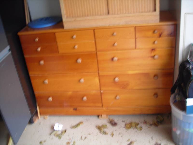 lot 163 image: 10-Drawer Chest 53x36x15