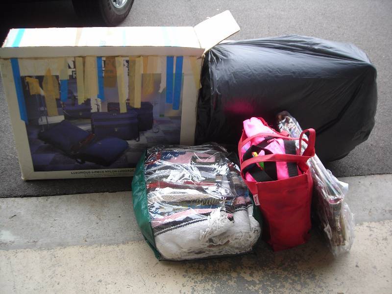 lot 175 image: Luggage, Picnic Blankets, Reusable Shopping Bags