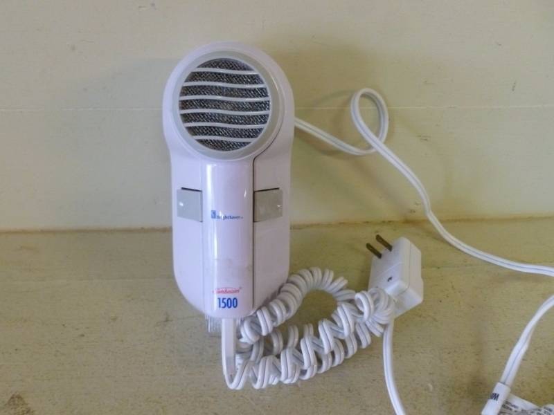 lot 101 image: Hair Dryer