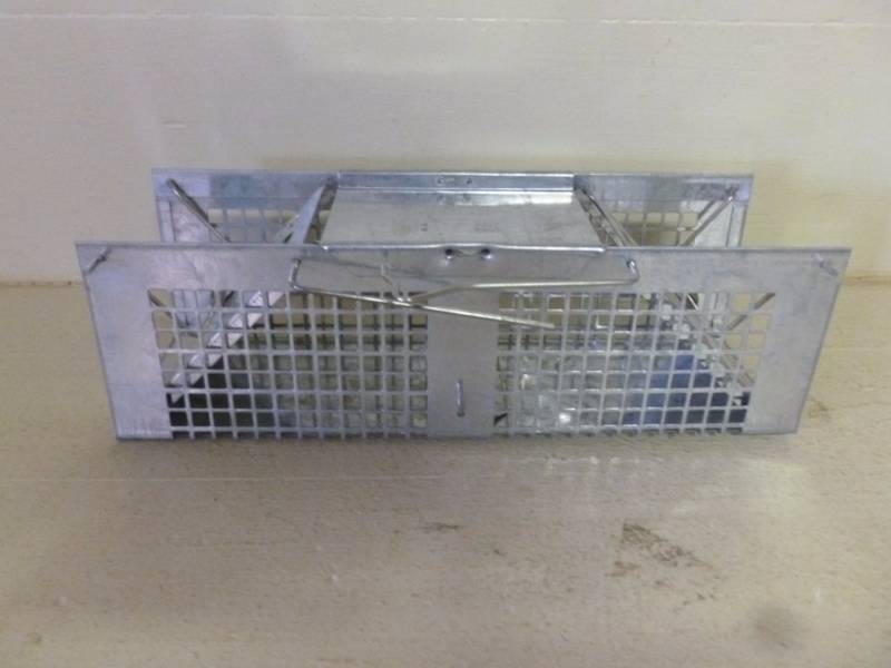 lot 181 image: Live Trap
