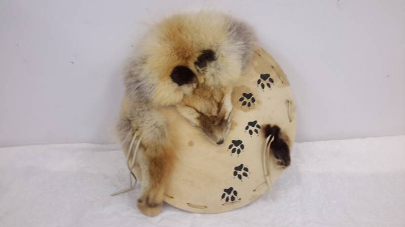 Taxidermy dream catcher