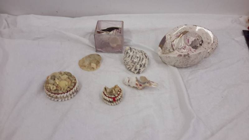 Shells