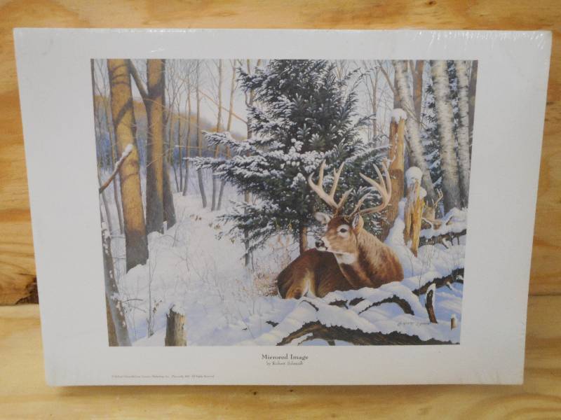 (250) Mirrored Image Prints By Ro...