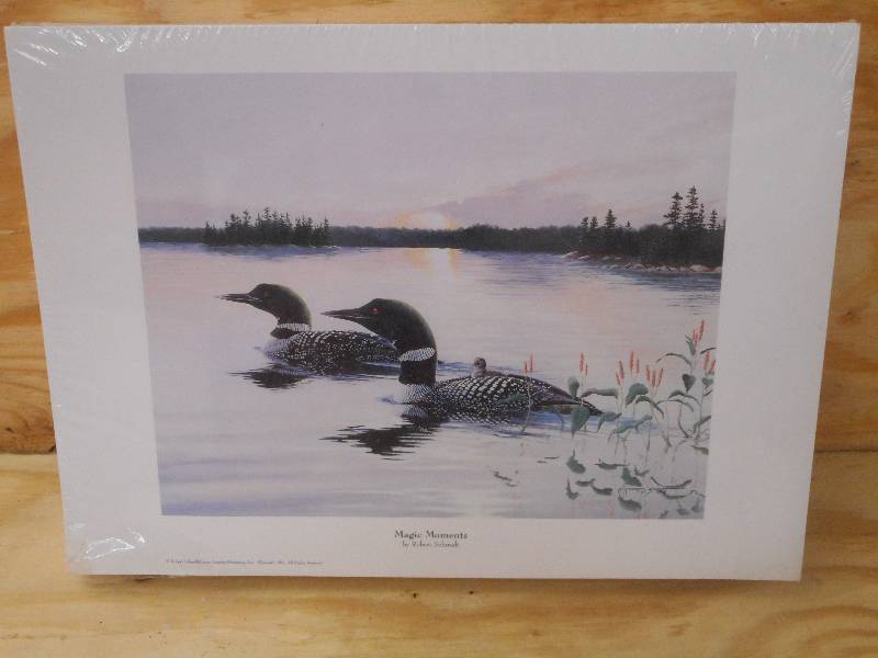 (250) Magic Moments Prints By Rob...