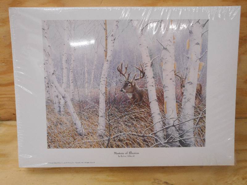 (250) Masters On Illusion Prints ...
