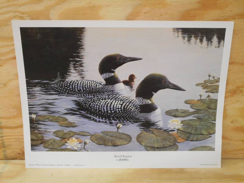 Approx (175) Royal Regatta Prints...