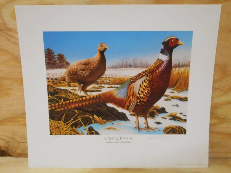 Approx (150) Spring Thaw Prints B...