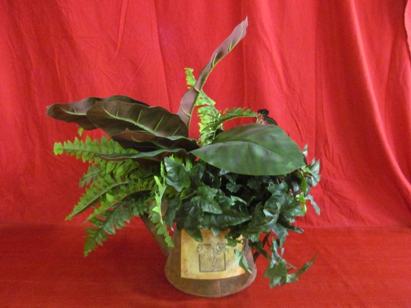 lot 6 image: plant