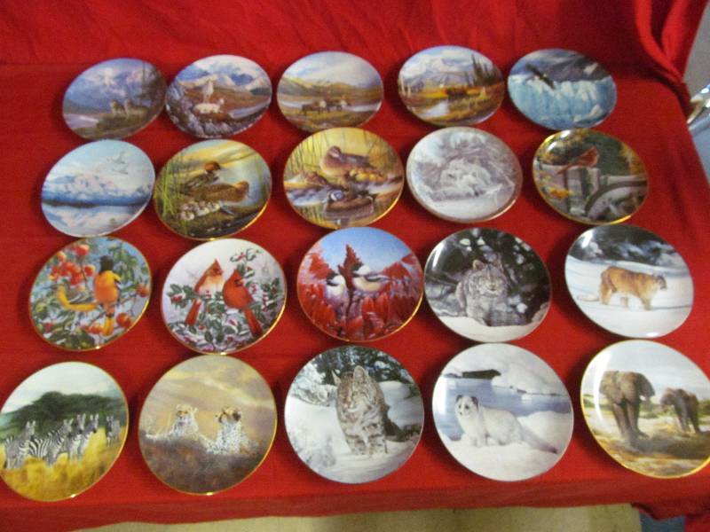 lot 11 image: collector plates