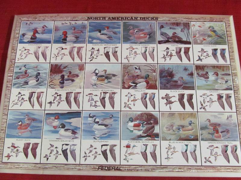 lot 146 image: tin sign picture