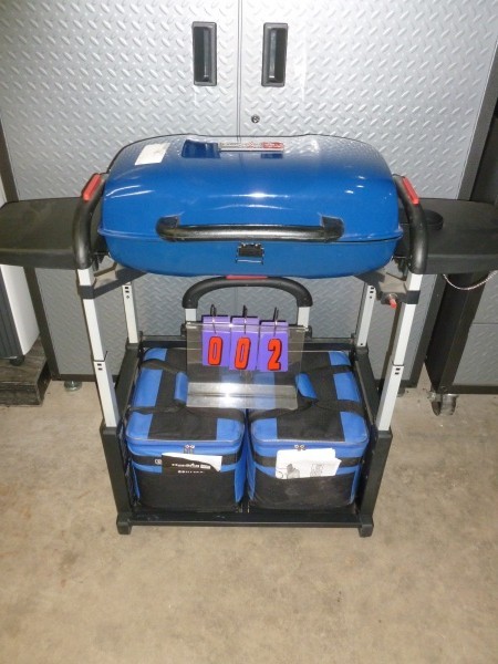 SnS Auctions # 206 Patio, Pool & garage accessories.