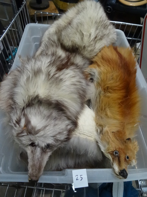 Animal Furs