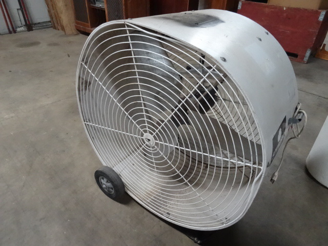 Fan