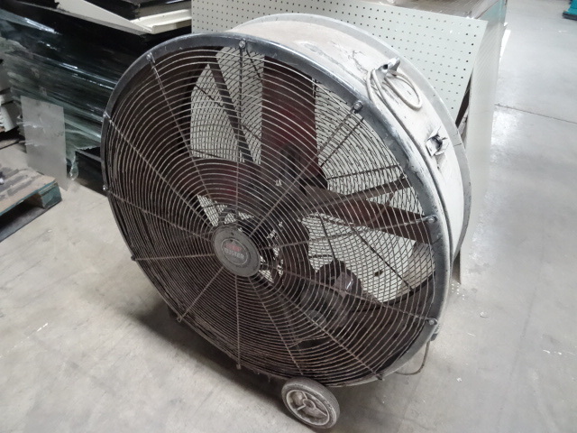 Fan