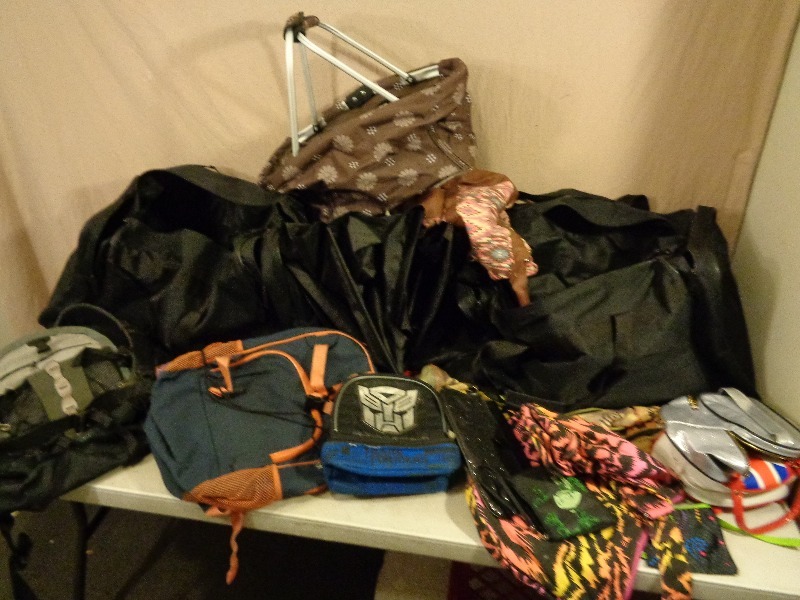 lot 164 image: Duffle Bags, Backpacks, Purses, and More