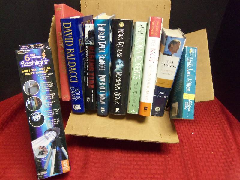 Books and LED Flashlight