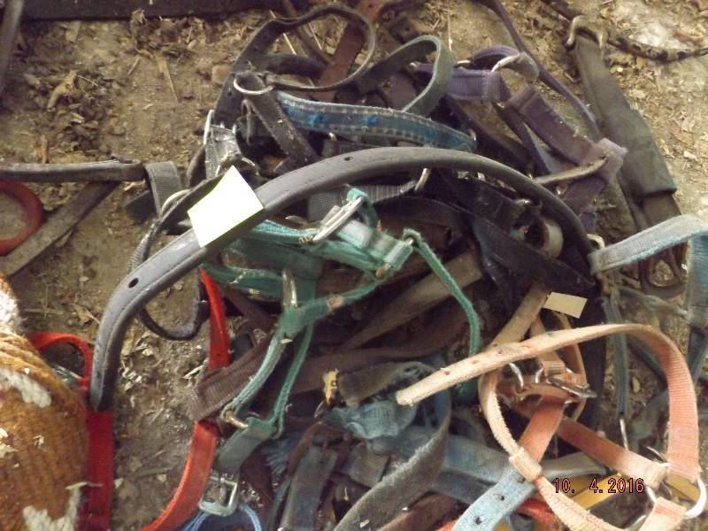 lots of horse equiptment