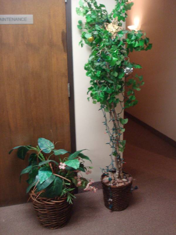 Pair Of Fake Plants...